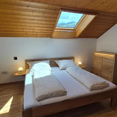 Riverhaus 2 Appartement Schladming